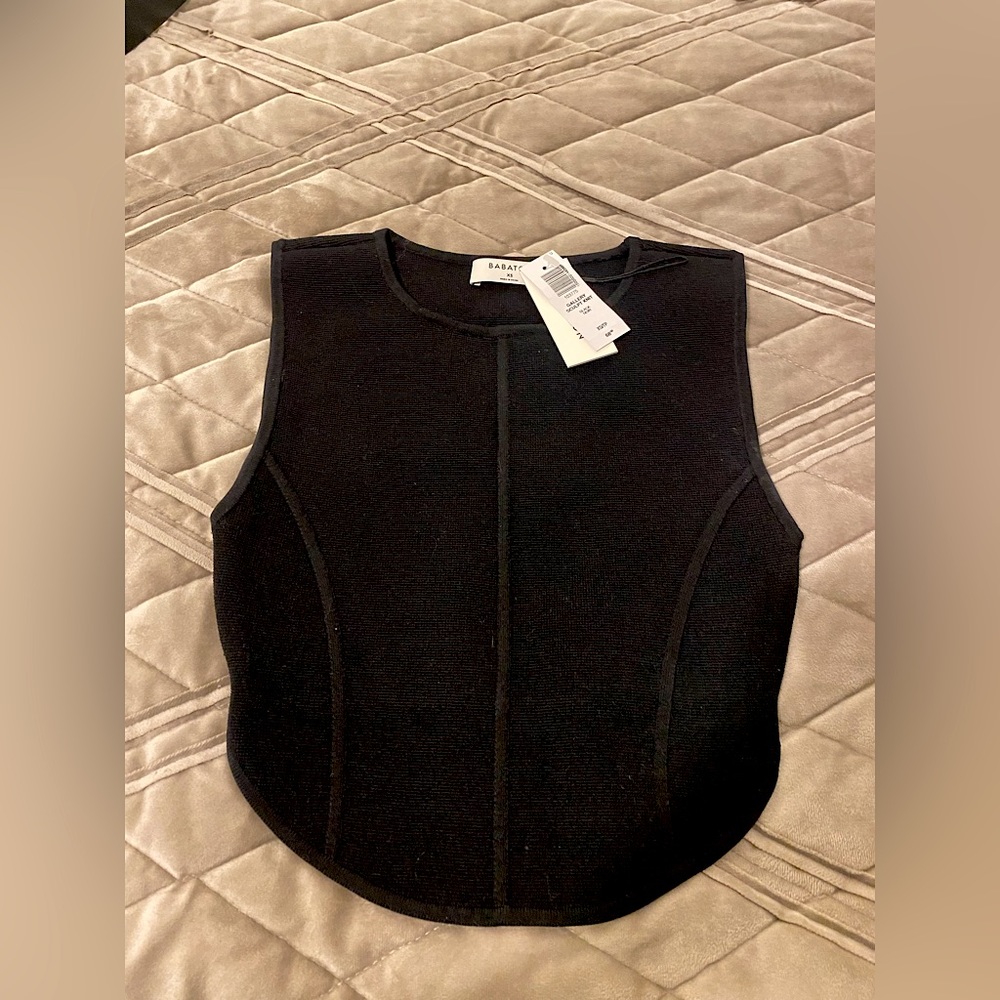 Aritzia Babaton crop top